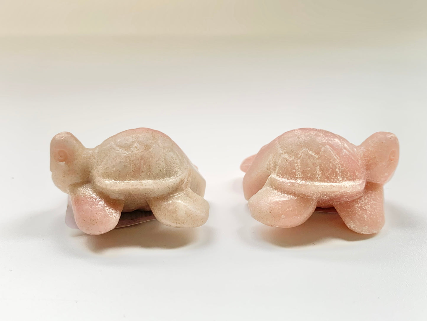 Mini Sea Turtle Carving