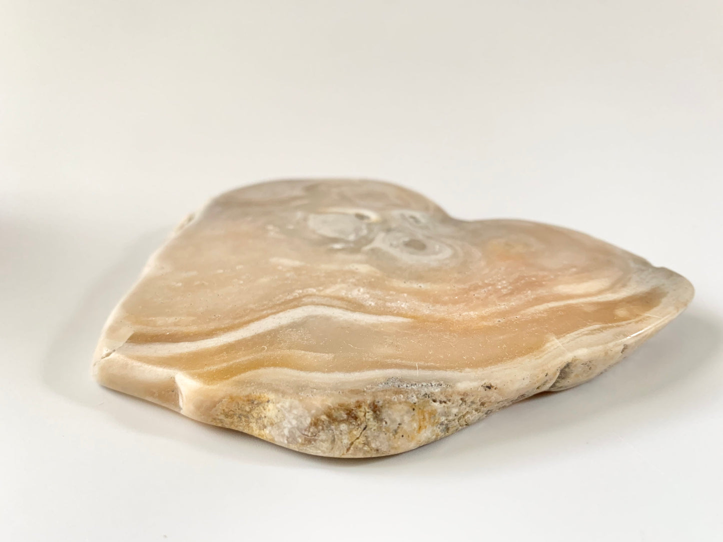 Stromatoporoid Fossil Free Form, slab