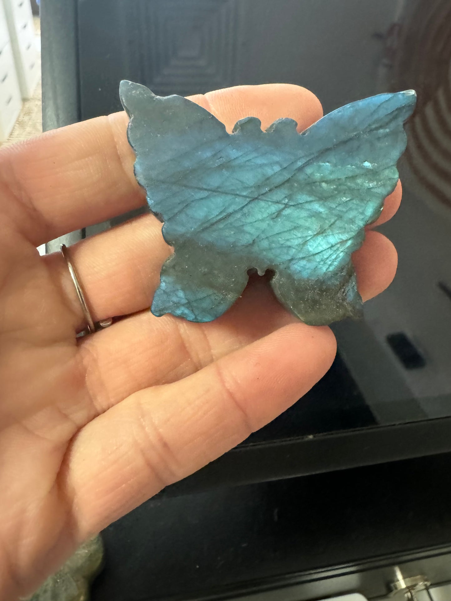 Butterfly Labradorite Carving, flat