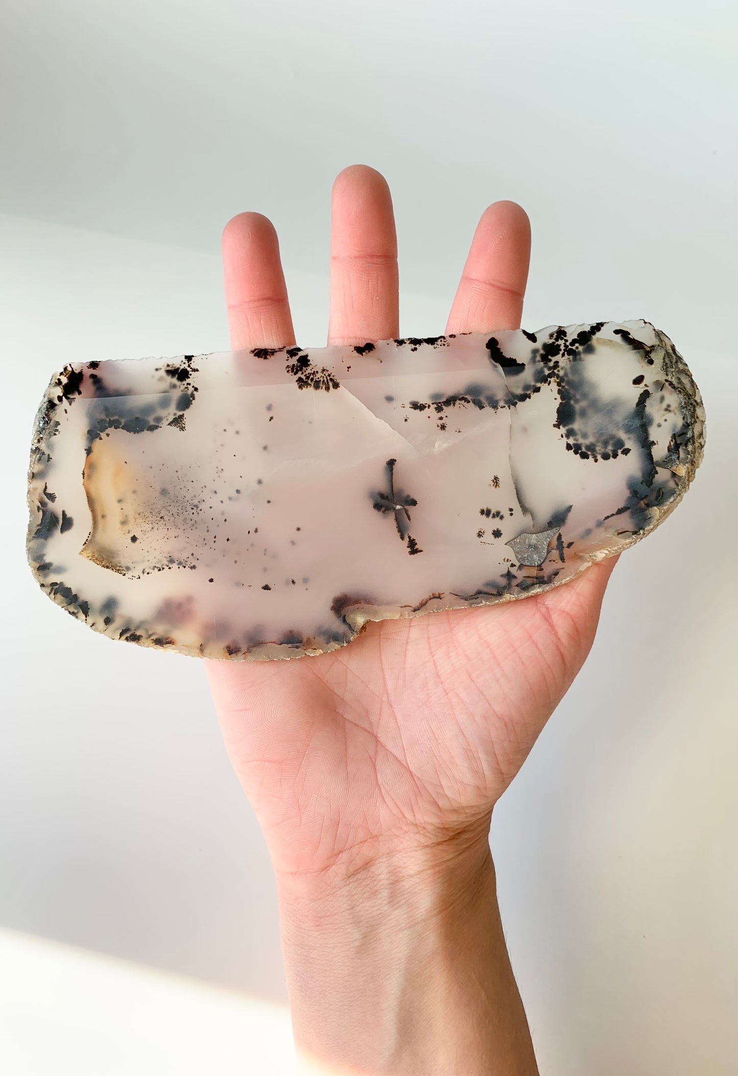 Raw Montana Moss Agate Slab