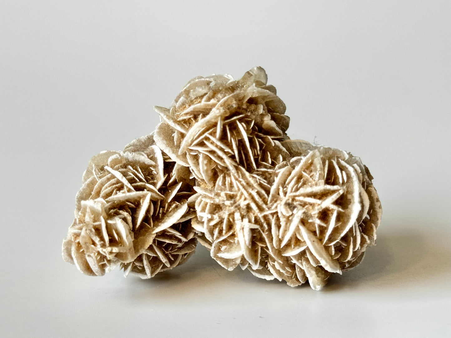 Desert Rose, Small Cluster