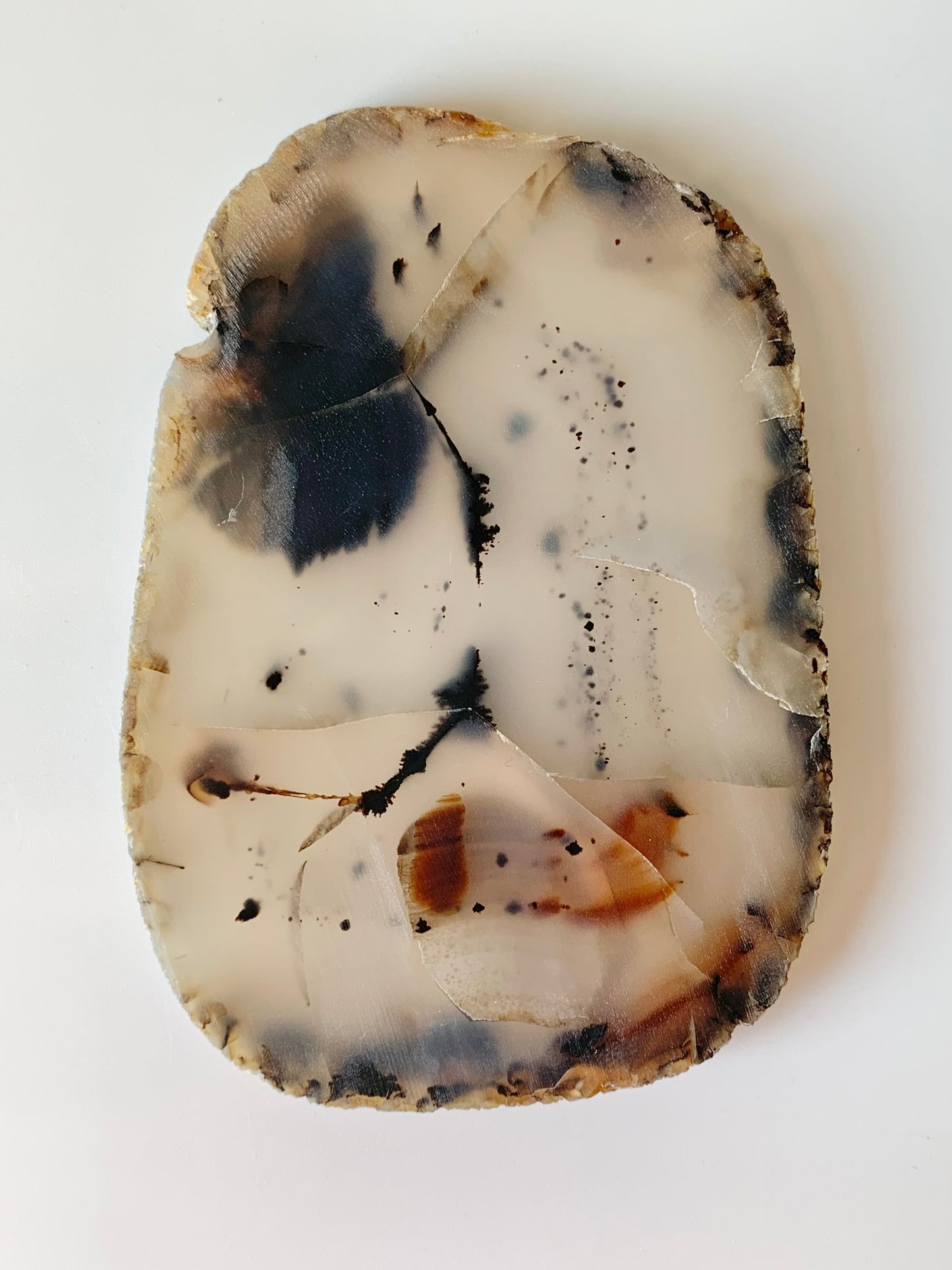 Raw Montana Moss Agate Slab