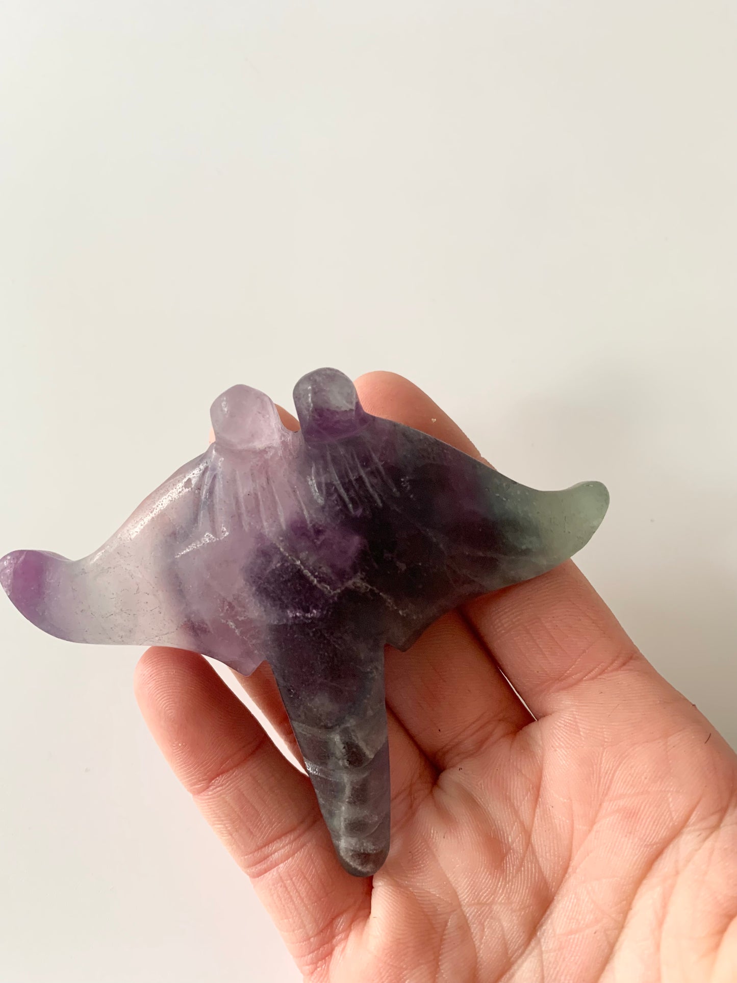 String Ray, Rainbow Fluorite