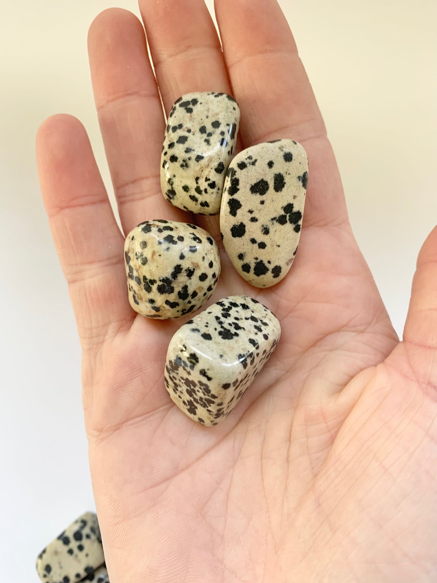 Dalmatian Stone Tumble