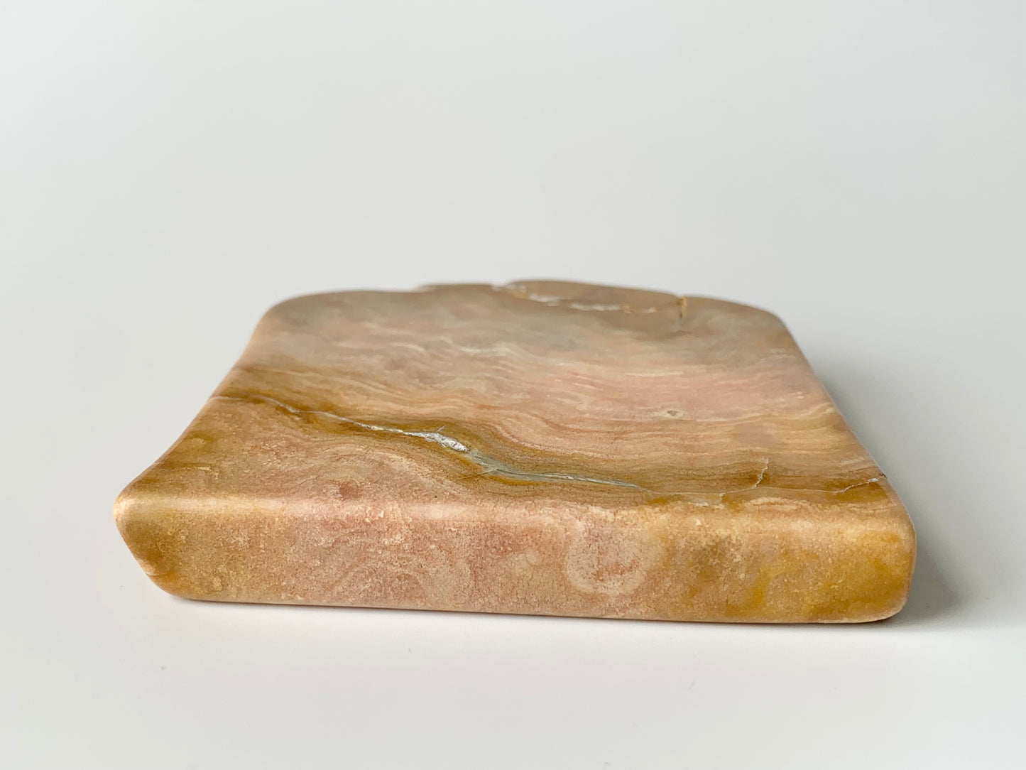 Stromatoporoids Fossil Slab