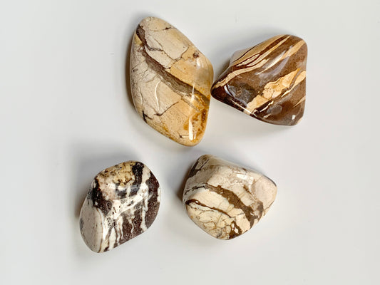 Zebra Jasper Tumble, Large