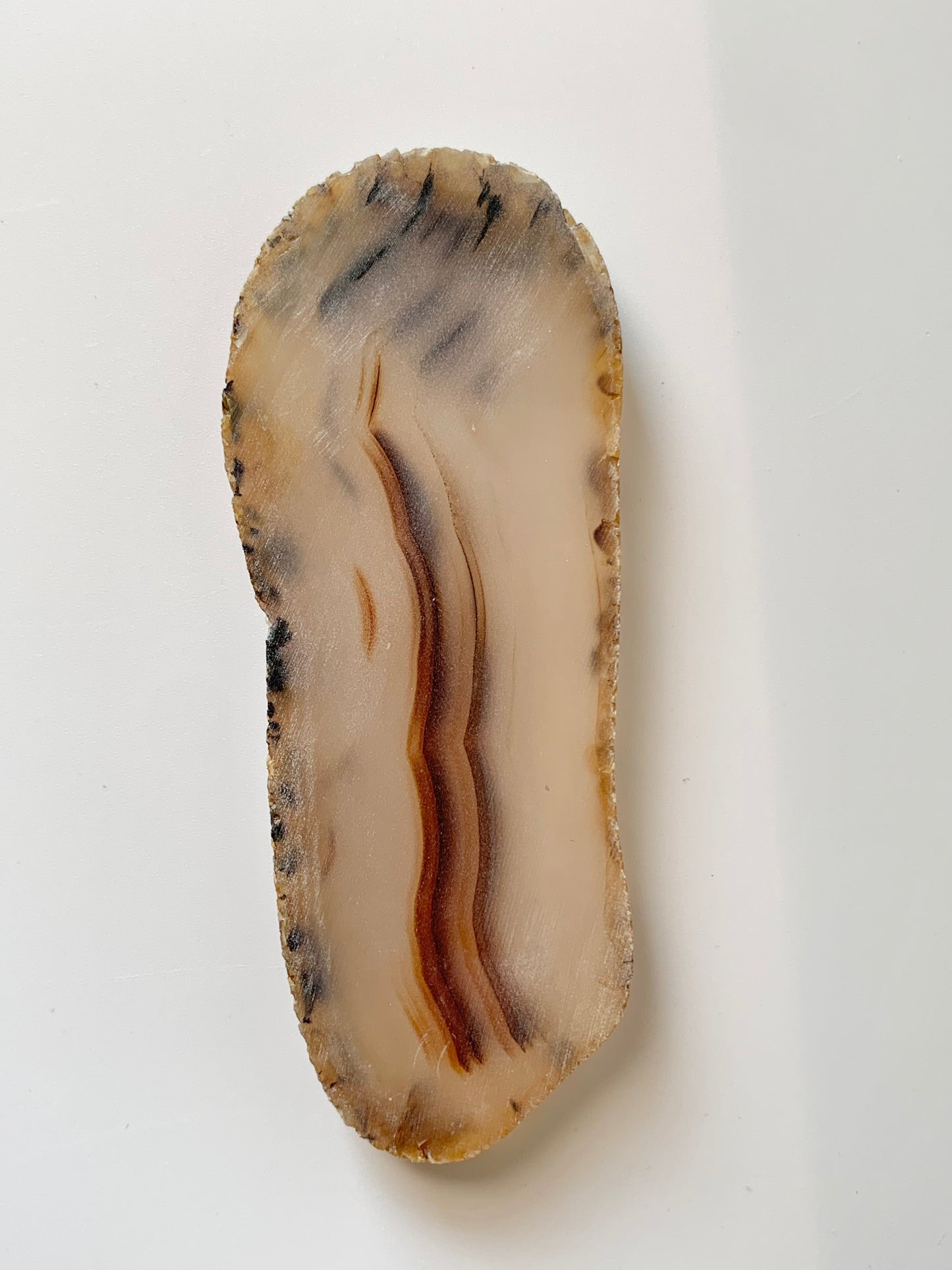 Raw Montana Moss Agate Slab