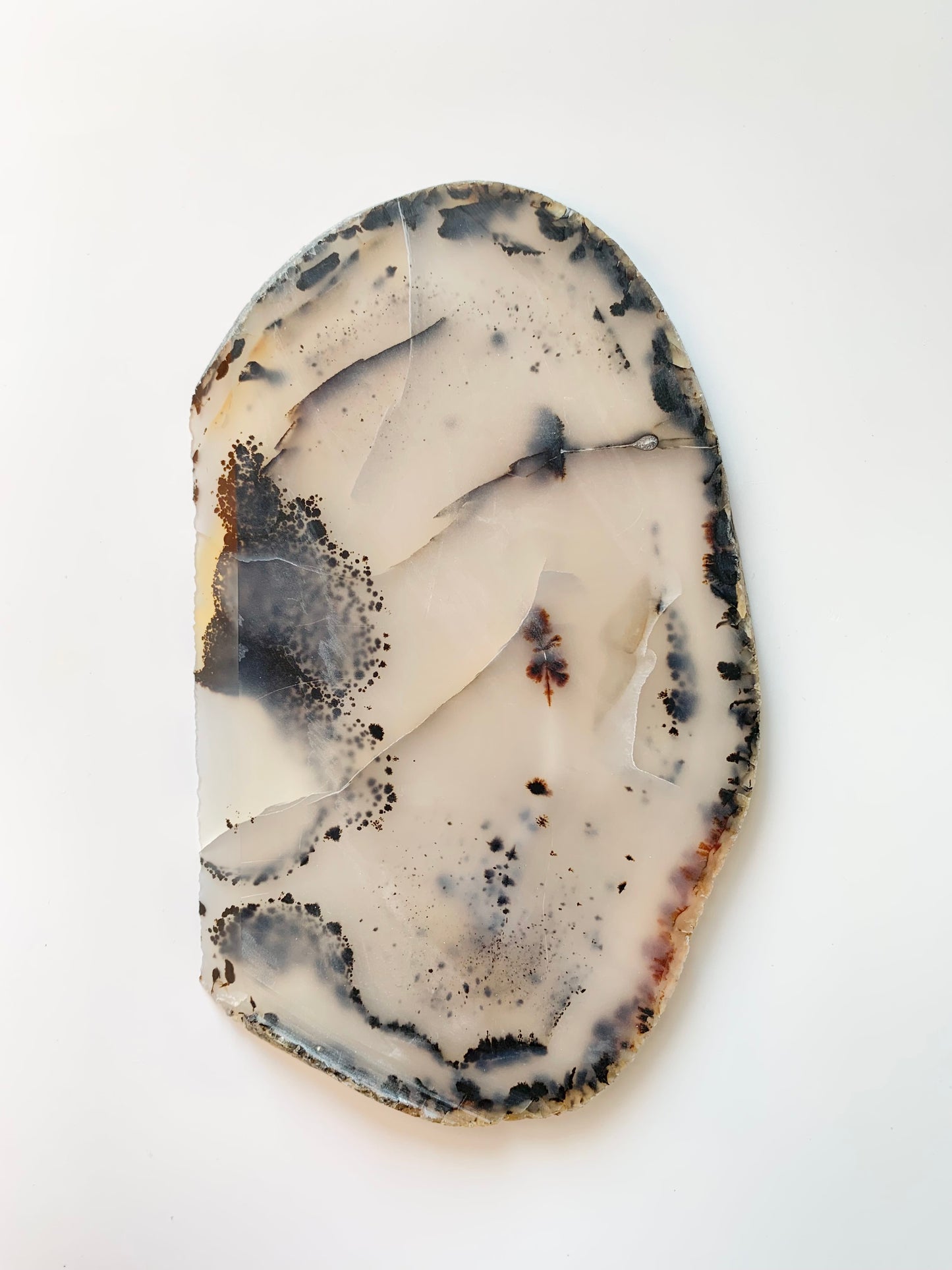 Raw Montana Moss Agate Slab