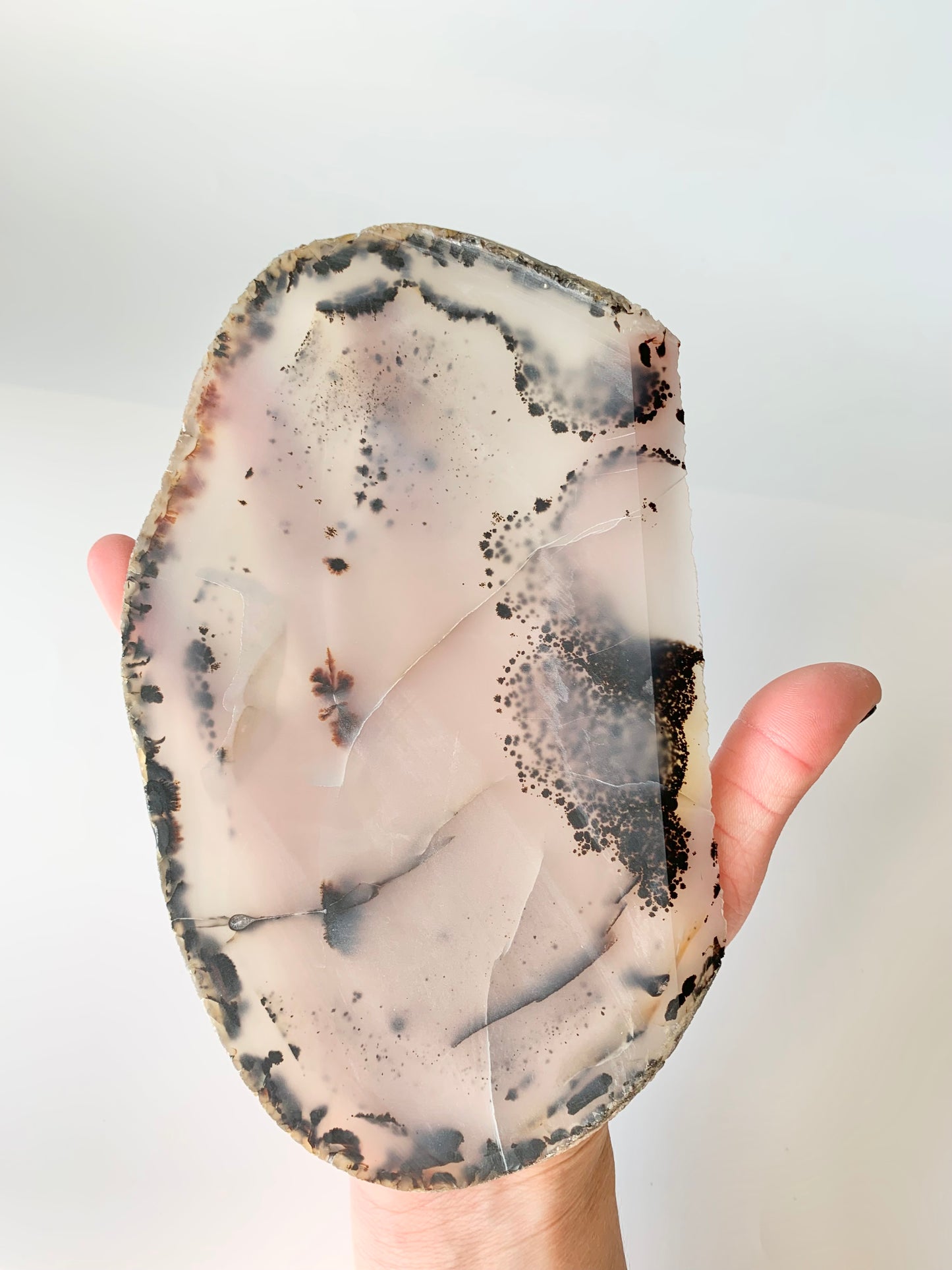 Raw Montana Moss Agate Slab