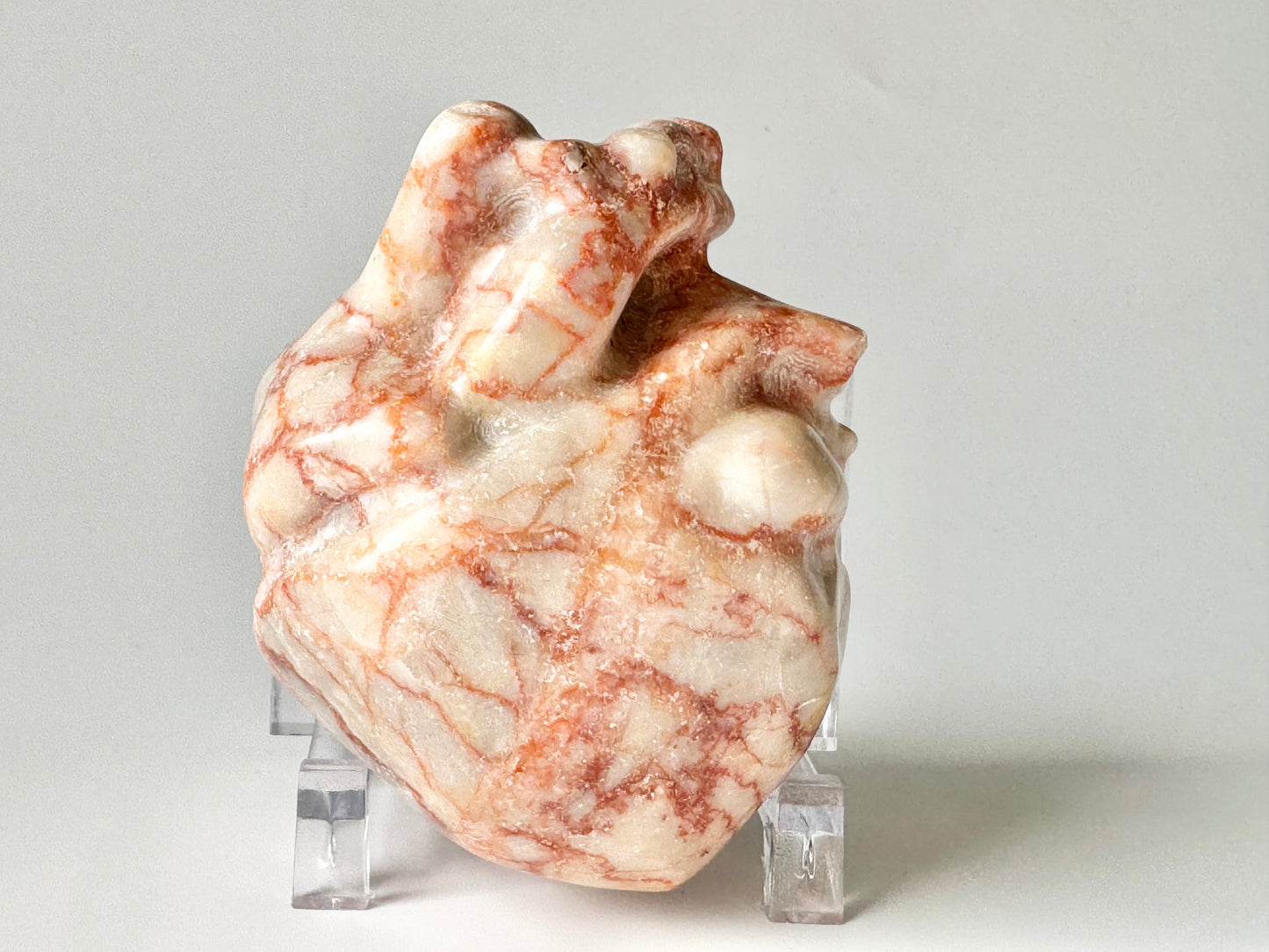 Red Vein Jasper Anatomical Heart, Large