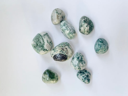 Green Tree Agate Tumble