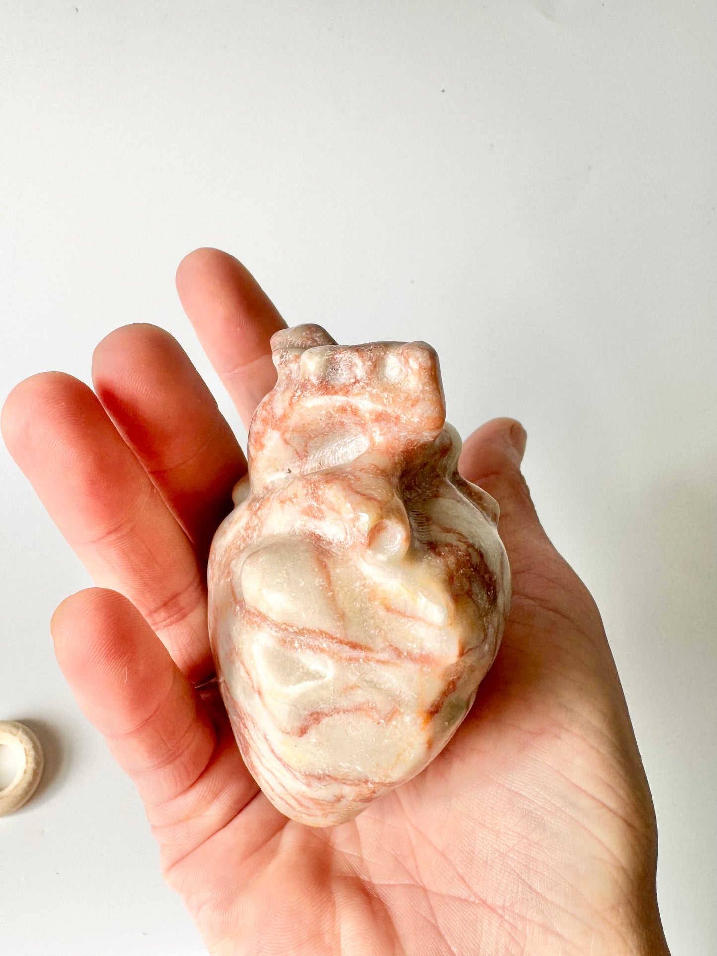 Red Vein Jasper Anatomical Heart, Large