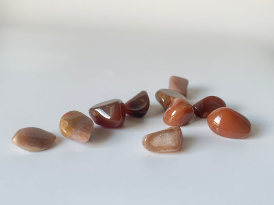 Lake Superior Agate Tumble, small set