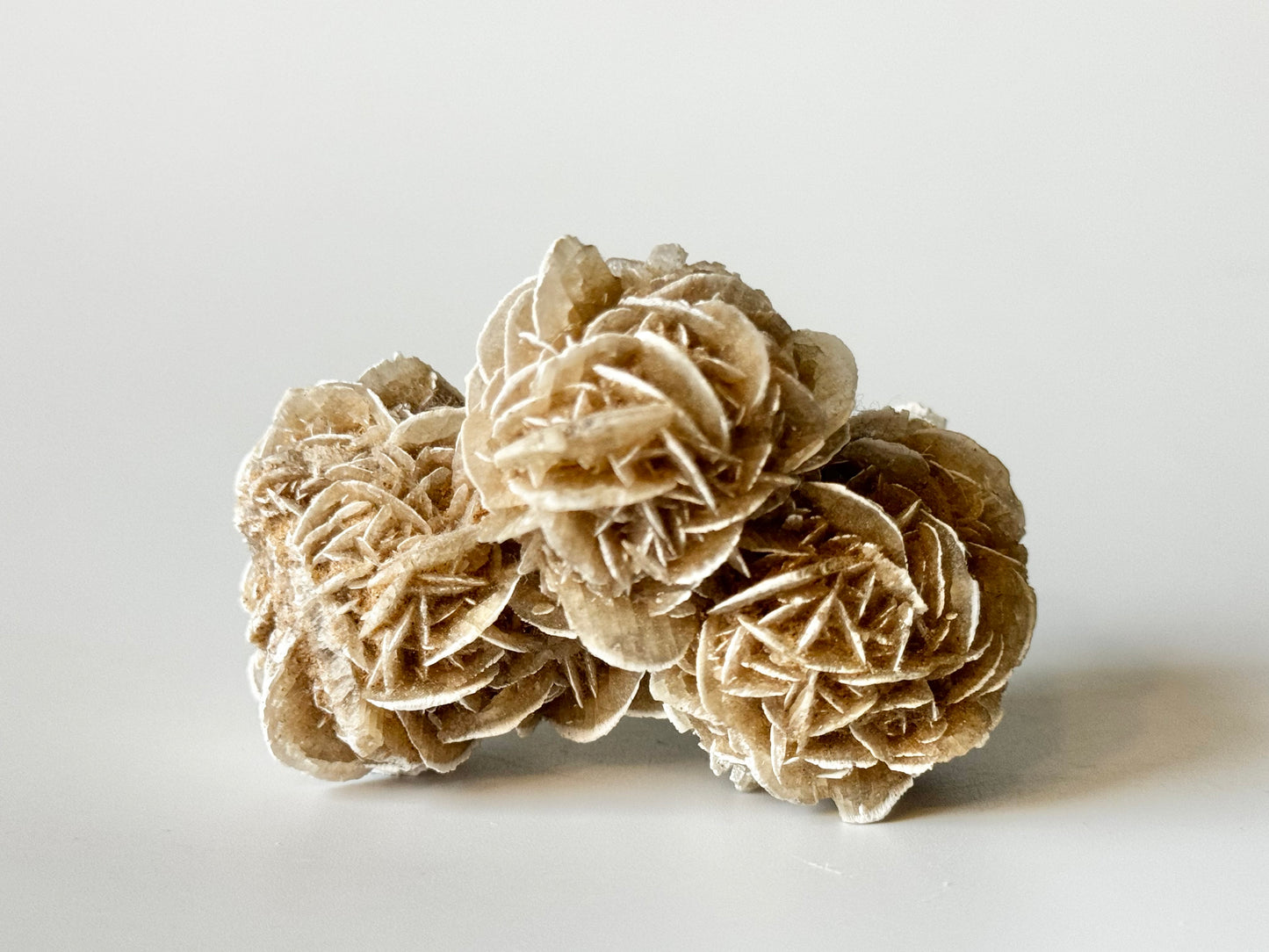 Desert Rose, Small Cluster