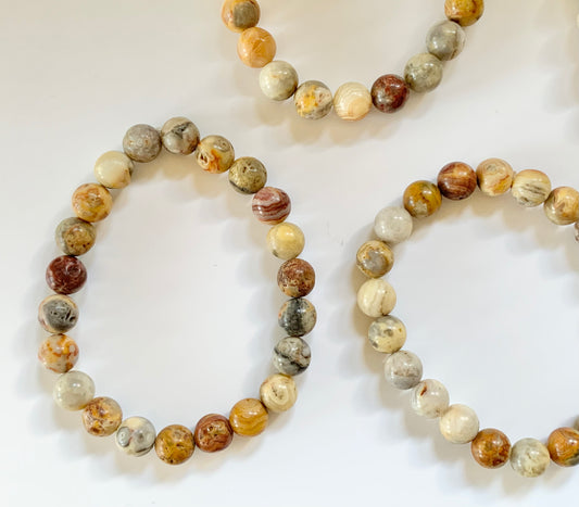 Crazy Lace Agate Round Bead Bracelet, 8mm