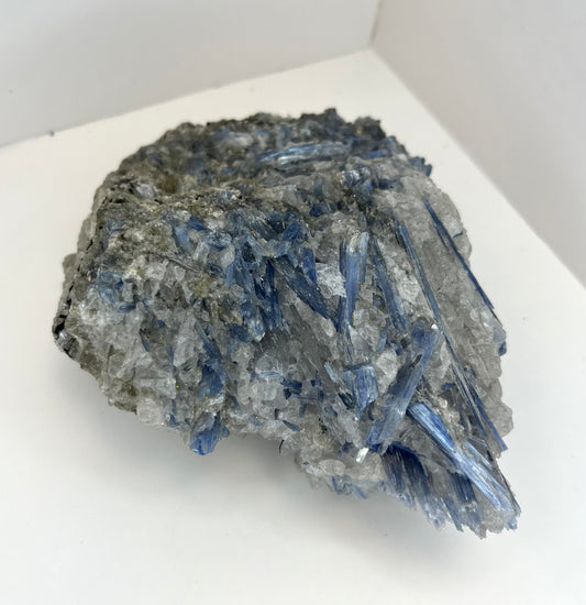 Blue Kyanite in Quartz Specimen (A)