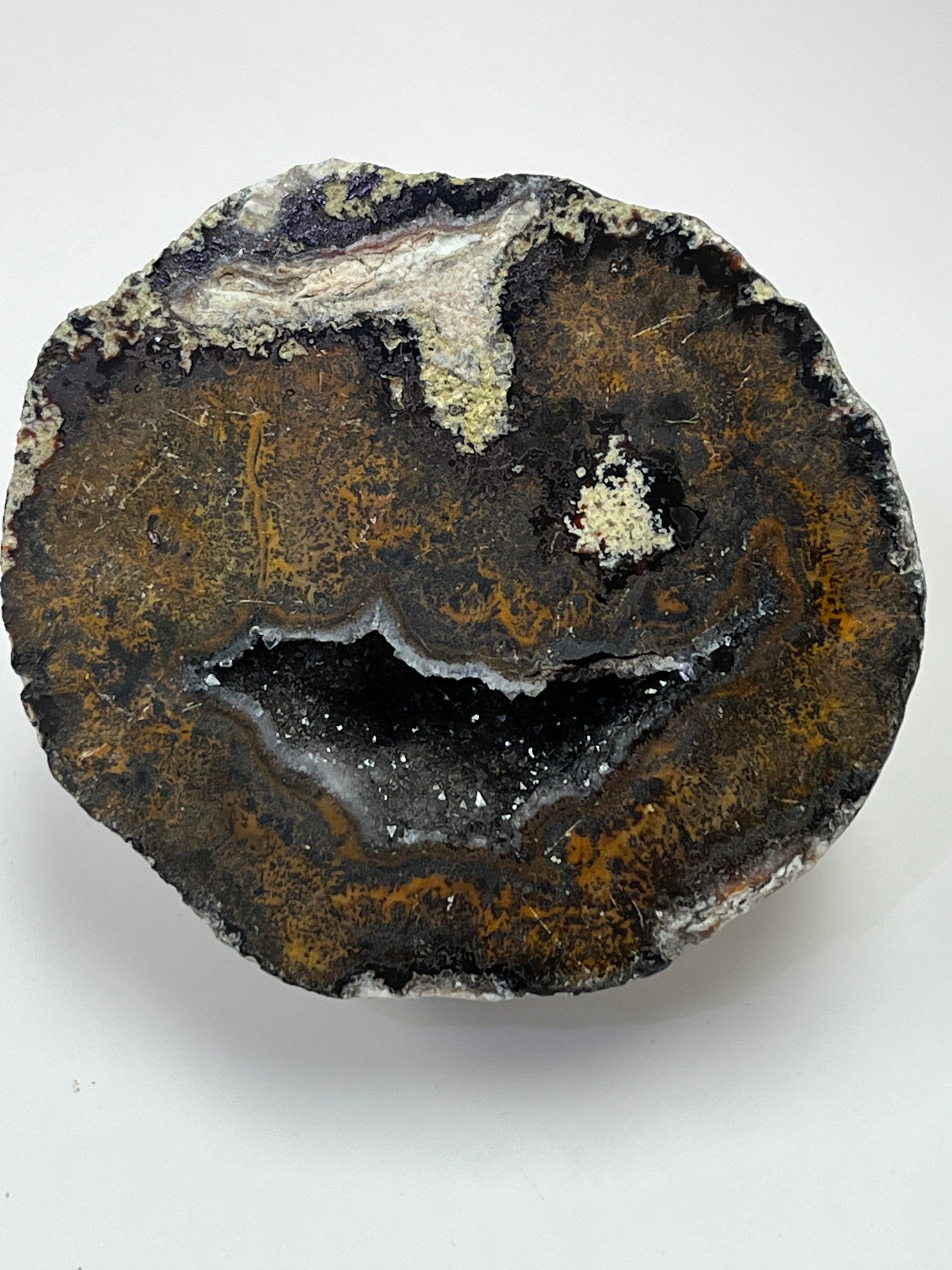 Coconut Geode Polished Half (Las Choyas), choose your own