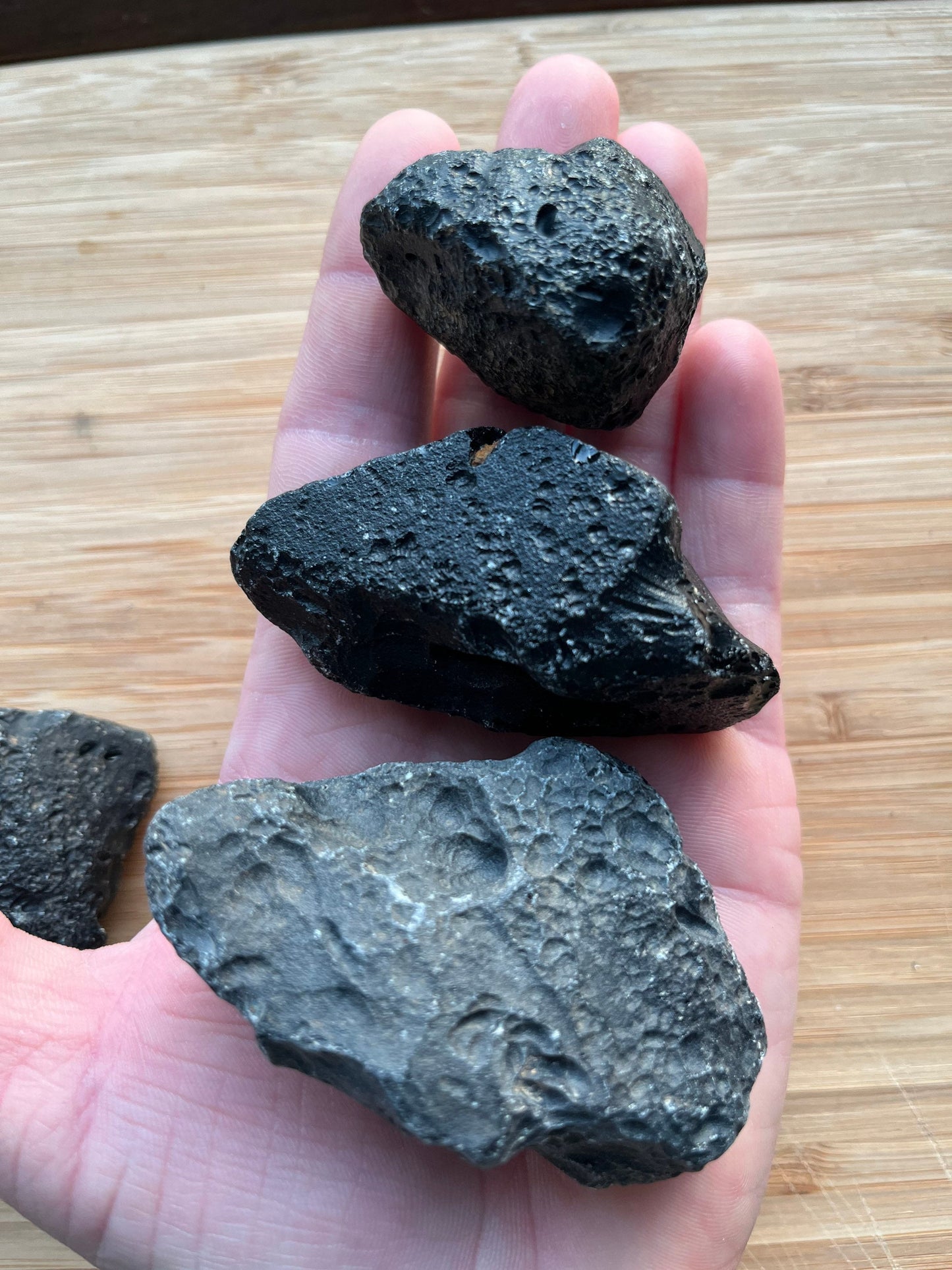 Tektite meteorite debris