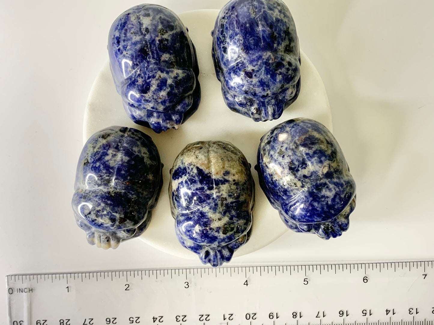 Sodalite scarab beetle