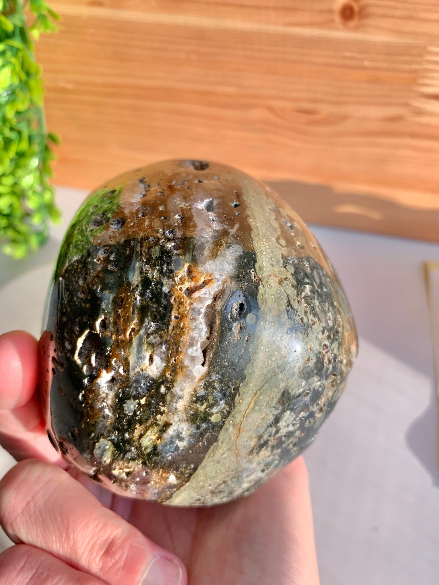 Ocean Jasper Skull