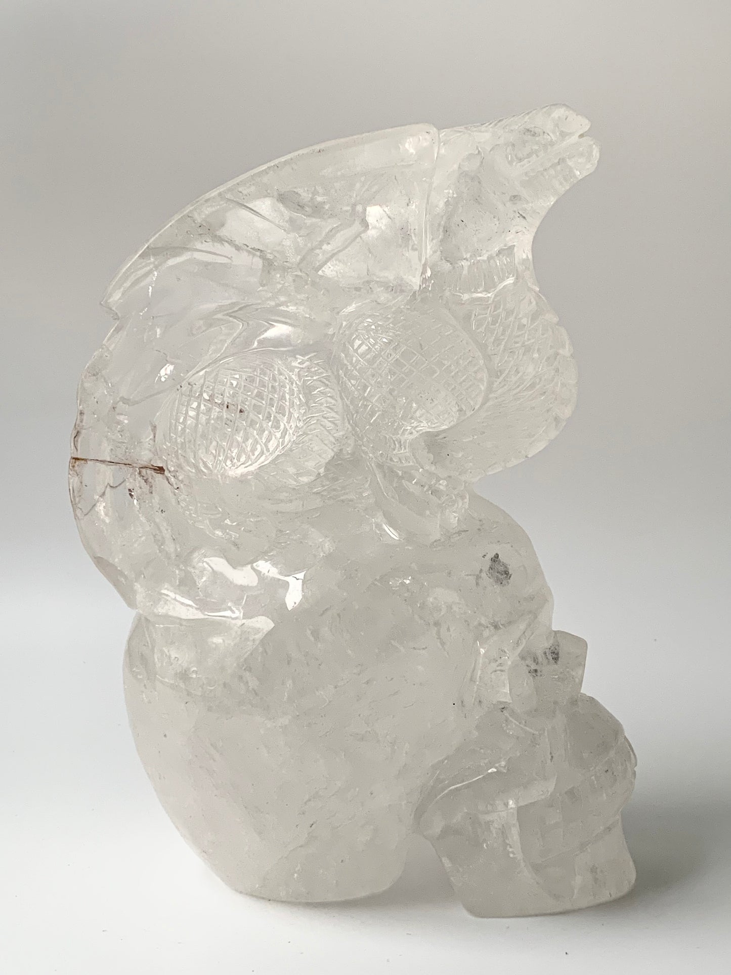 Clear Quartz Dragon on Skull Carving